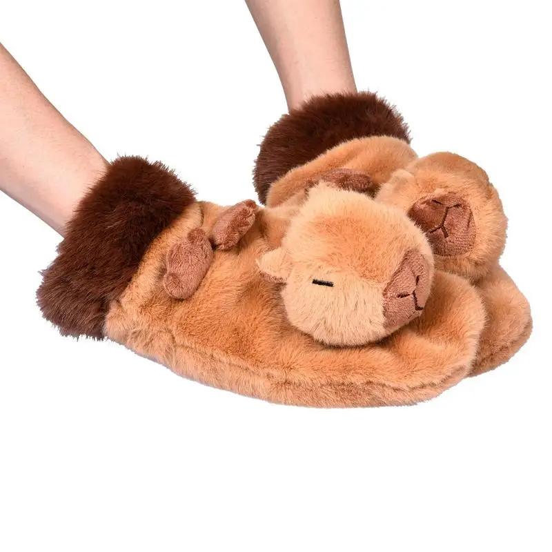 Capybara   ܿ  尩, Ϳ   尩,  β ǳ  Ű 尩